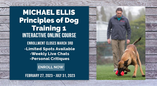 Michael Ellis Principles of Dog Training