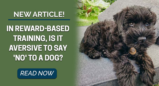 In Reward-Based Training, is it Aversive to say 'NO' to a Dog?