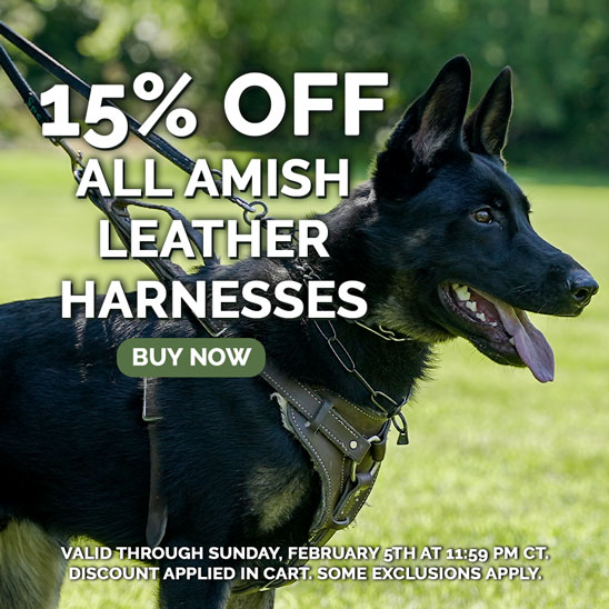 15% OFF on All Amish Leather Harnesses