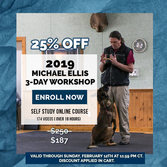 25% OFF on Dec 2019 Michael Ellis Three Day Workshop