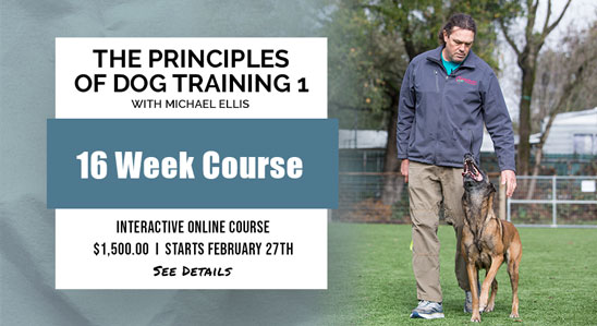 Michael Ellis Principles of Dog Training 1