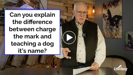 Video: Can you explain the difference between charge the mark and teaching a dog it's name?