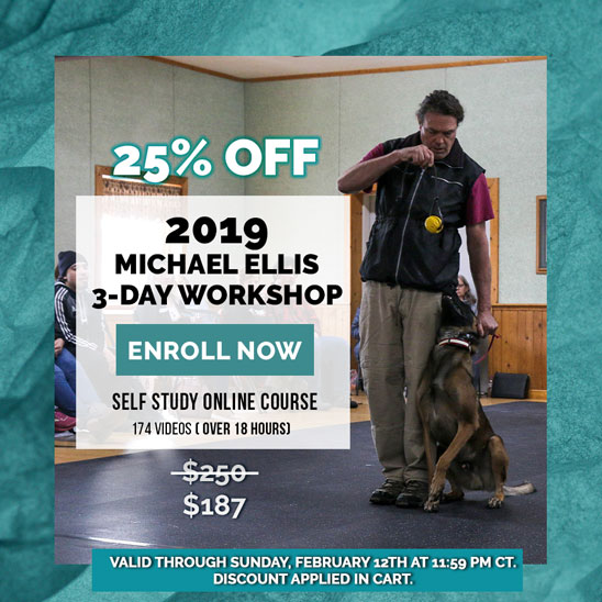 25% OFF on Dec 2019 Michael Ellis Three Day Workshop