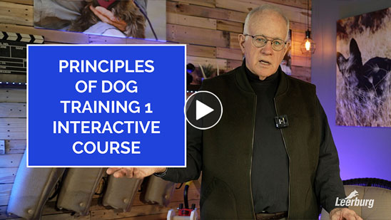 Video: Principles of Dog Training 1-Interactive Explained by Ed Frawley