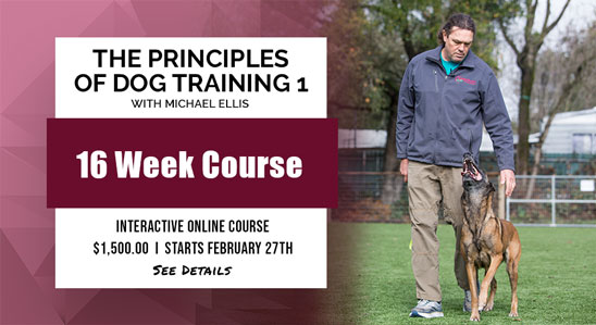 Michael Ellis Principles of Dog Training 1