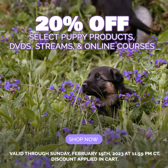 20% OFF on Select Puppy Products