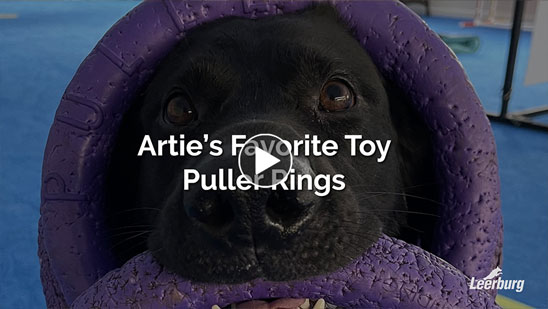 Video:Artie's Favorite Toy - Puller Rings