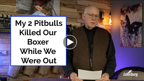 Video: My 2 Pitbulls Killed Our Boxer While We Were Out