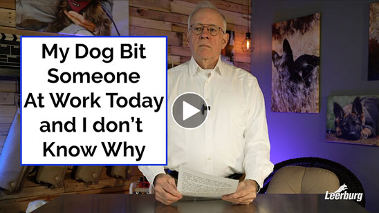 Video: My Dog Bit Someone At Work Today and I Don’t Know Why