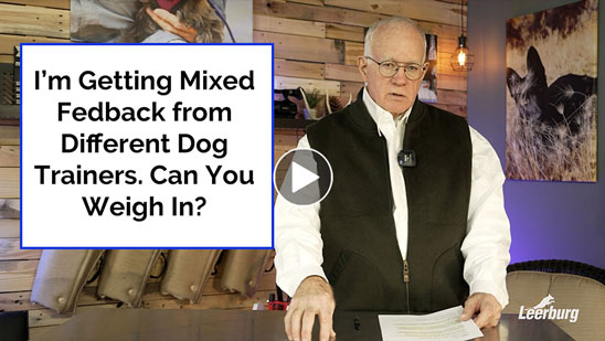 Video:  I'm Getting Mixed Feedback from Different Trainers. Can You Weigh In?