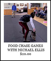Food Chase Games