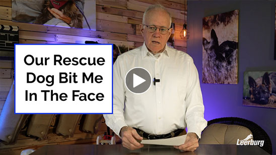Video: Our Rescue Dog Bit Me In The Face