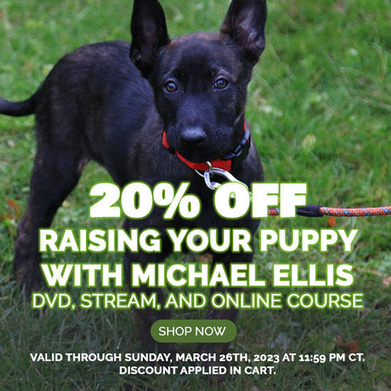 Raising Your Puppy with Michael Ellis DVD, Stream and Self-Study Online Course