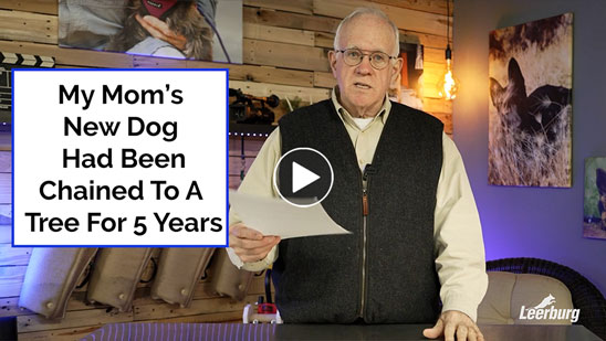 Video: My Mom's New Dog Had Been Chained To A Tree For 5 Years