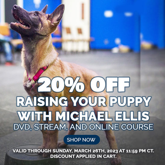 20% OFF on Raising Your Puppy with Michael Ellis