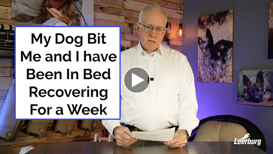 Video: My Dog Bit Me And I Have Been In Bed Recovering For A Week