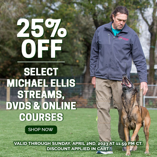 25% Off Select Ellis DVDs, Streams, and Online Courses