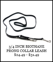 3/4in Biothane Prong Collar Leash