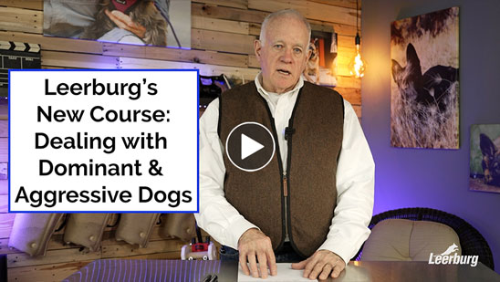 Video: Leerburg's New Course-Dealing with Dominant &amp; Aggressive Dogs