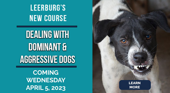 New Course - Dealing with Dominant &amp; Aggressive Dogs