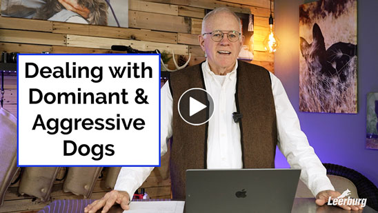 Video: Dealing with Dominant &amp; Aggressive Dogs