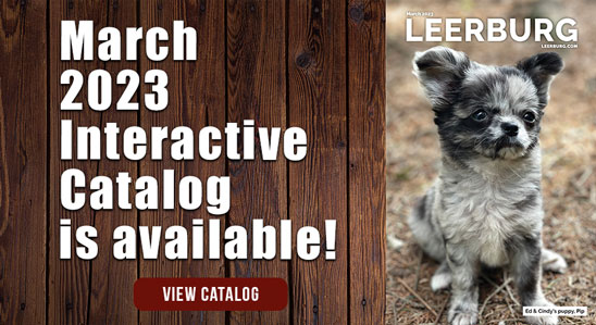 March 2023 Interactive Catalog