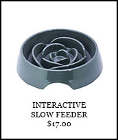 Interactive Slow Feeder
