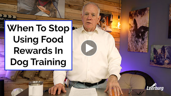 Video: When To Stop Using Food Rewards In Dog Training