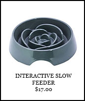 Interactive Slow Feeder