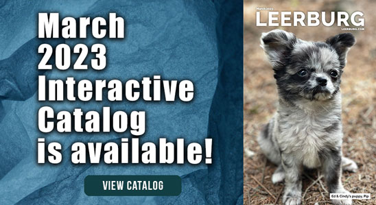 March 2023 Interactive Catalog