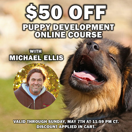 $50 OFF on Puppy Development Online Course with Michael Ellis.