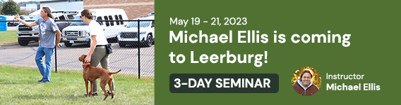New Course: Michael Ellis Seminar