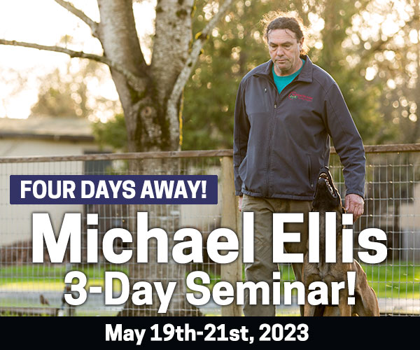 Four Days Away! Michael Ellis 3-Day Seminar!