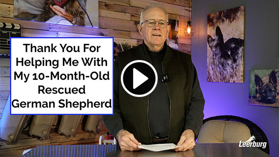 Video: Thank You For Helping Me With My 10-Month-Old Rescued German Shepherd