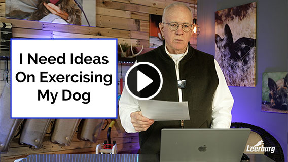 Video: I Need Ideas On Exercising My Dog