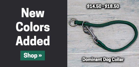 New Colors - Dominant Dog Collar