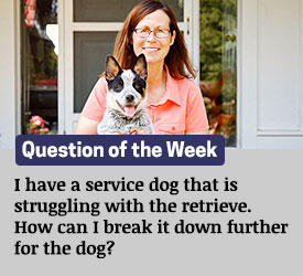 Featured QA: I have a service dog that is struggling with the retrieve. How can I break it down further for the dog?
