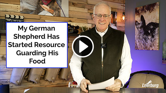 Video: My German Shepherd Has Started Resource Guarding His Food