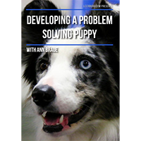 Developing a Problem-Solving Puppy