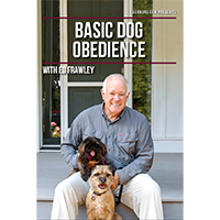 Basic Dog Obedience
