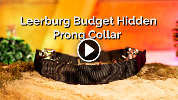 Video: Leerburg Budget Hidden Prong