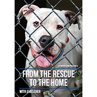 From the Rescue to the Home with JJ Belcher