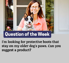 Featured QA: I'm looking for protective boots that stay on my older dog's paws. Can you suggest a product?