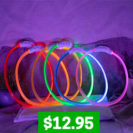 Rechargeable Lighted Dog Collar
