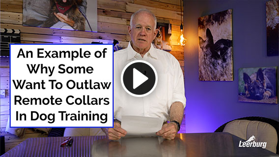 Video: An Example of Why Some Want To Outlaw Remote Collars In Dog Training