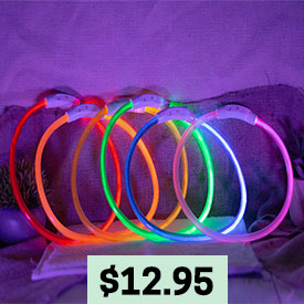 Rechargeable Lighted Dog Collar