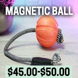 Magnetic Ball Set