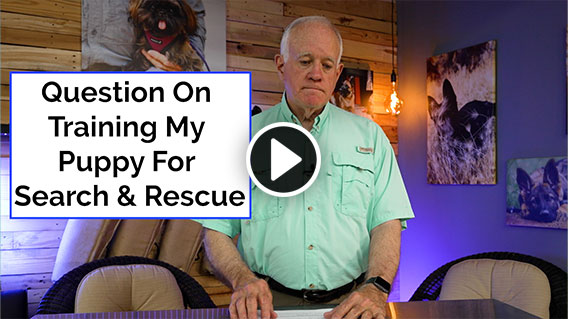 Video: Question on Training my puppy for search &amp; Rescue.