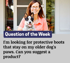 Featured QA: I'm looking for protective boots that stay on my older dog's paws. Can you suggest a product?