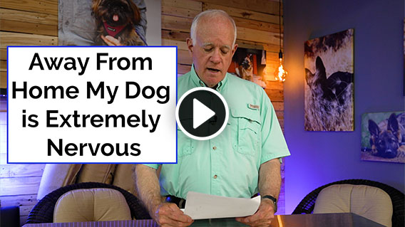 Video: Away From Home My Dog is Extremely Nervous